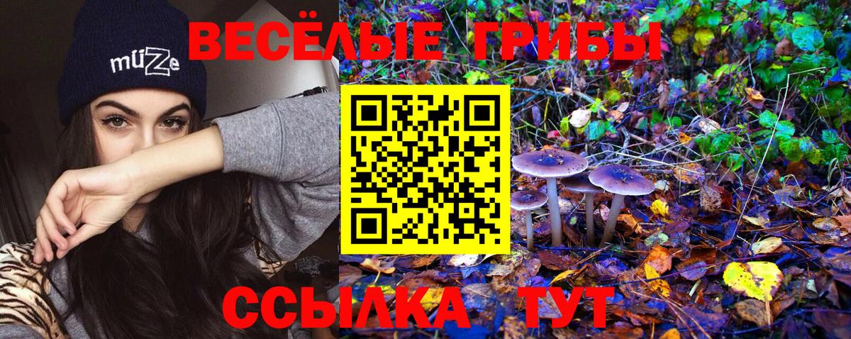 Псилоцибиновые грибы ЛСД  Вход с VPN  Батайск 
